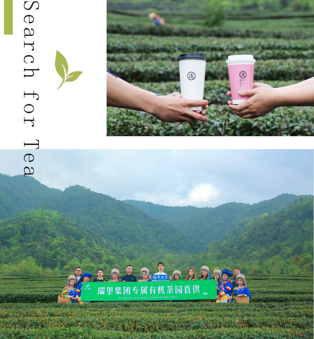 黑泷堂加盟总部