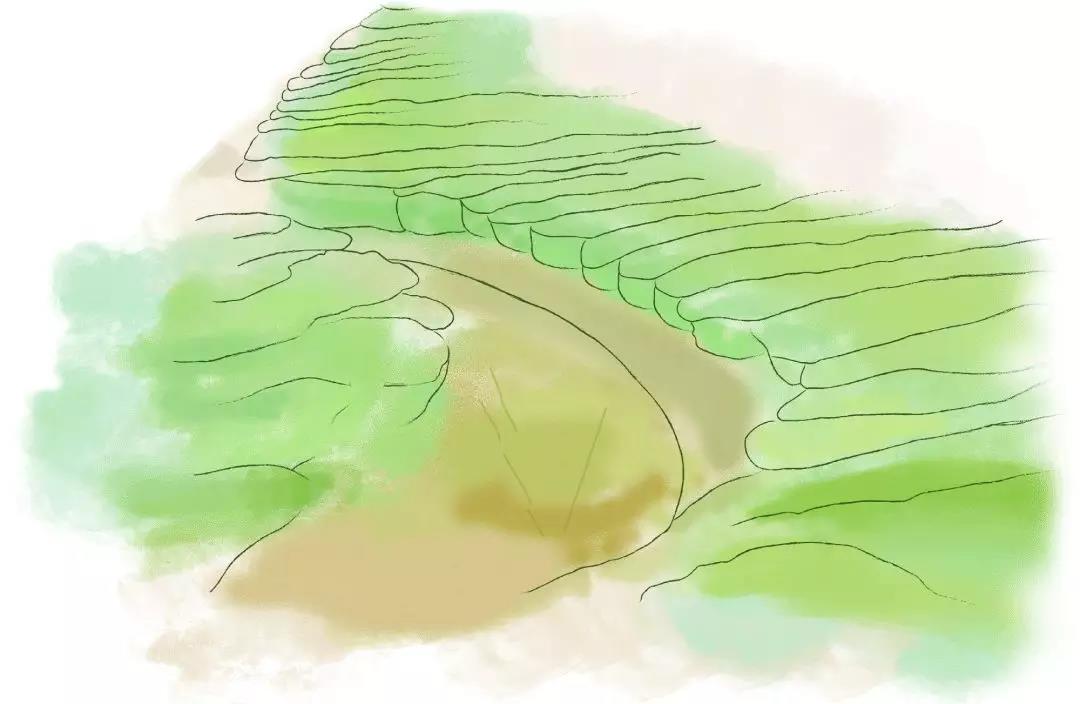 黑泷堂的茶叶秘境之旅